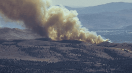 Incendio forestal se acerca de ciudad de Nevada y obliga a evacuar a miles de residentes