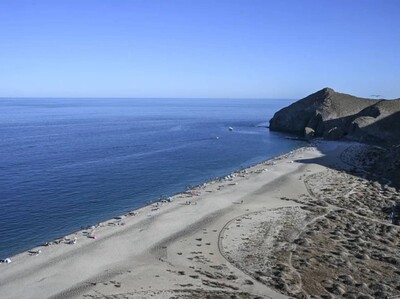 Record temperatures in the Mediterranean Sea due to global warming