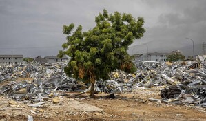 Hasta que el cuerpo aguante: los terremotos de Venezuela 60 d&iacute;as despu&eacute;s