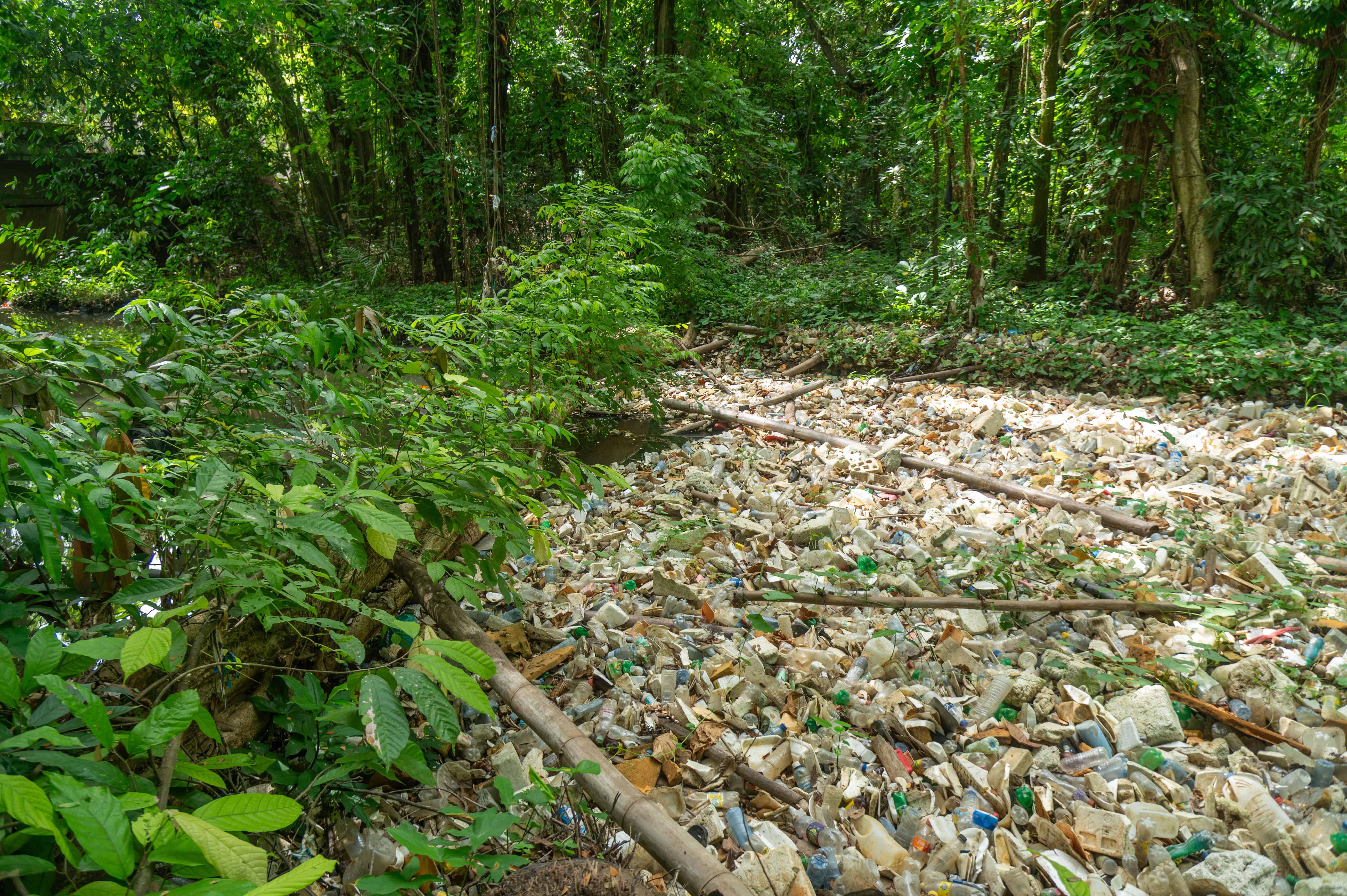 Parte de la basura acumulada en la cañada.