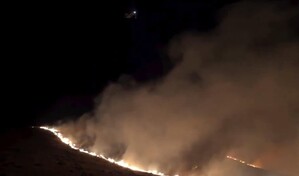 Decenas de miles de evacuados por incendios forestales en Nevada, EE. UU.