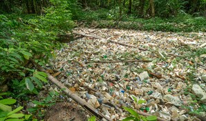 La ca&ntilde;ada de Arroyo Manzano lleva varios meses con basura estancada