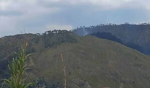 Incendio en Valle Nuevo se origin&oacute; por quema de terreno para cultivo