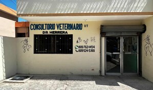 Veterinario atribuye casos de sarna en personas en Barahona a falta de higiene y hacinamiento