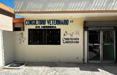 Veterinario atribuye casos de sarna en personas en Barahona a falta de higiene y hacinamiento