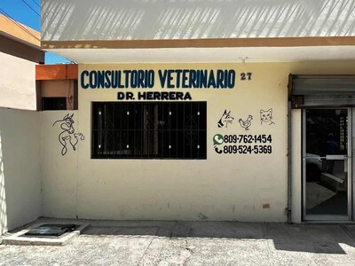 Scabies Cases Rise in Barahona, Dominican Republic; Hygiene Cited as Factor