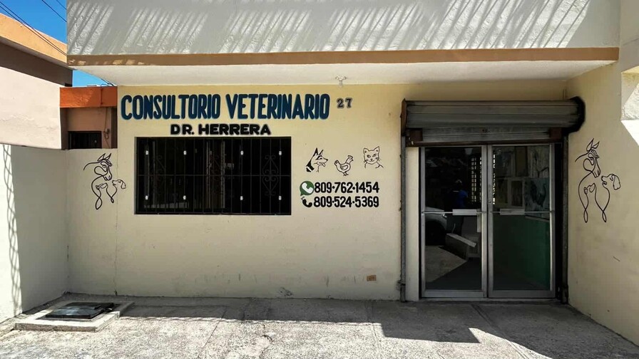 Veterinario atribuye casos de sarna en personas en Barahona a falta de higiene y hacinamiento