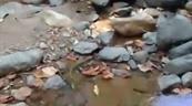 Reducci&oacute;n del caudal de la fuente de captaci&oacute;n provoca escasez de agua en Jarabacoa