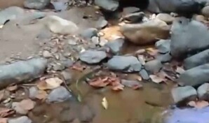 Reducci&oacute;n del caudal de la fuente de captaci&oacute;n provoca escasez de agua en Jarabacoa