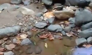 Reducci&oacute;n del caudal de la fuente de captaci&oacute;n provoca escasez de agua en Jarabacoa