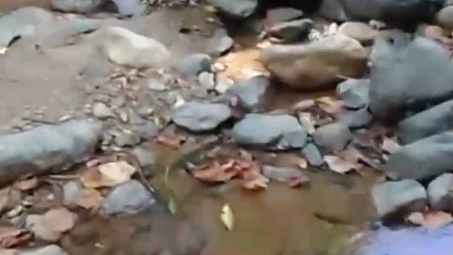 Reducci&oacute;n del caudal de la fuente de captaci&oacute;n provoca escasez de agua en Jarabacoa