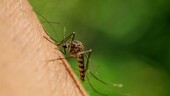 La malaria de aeropuerto deja dos muertos en Fr&aacute;ncfort
