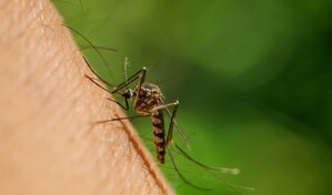 La malaria de aeropuerto deja dos muertos en Fr&aacute;ncfort