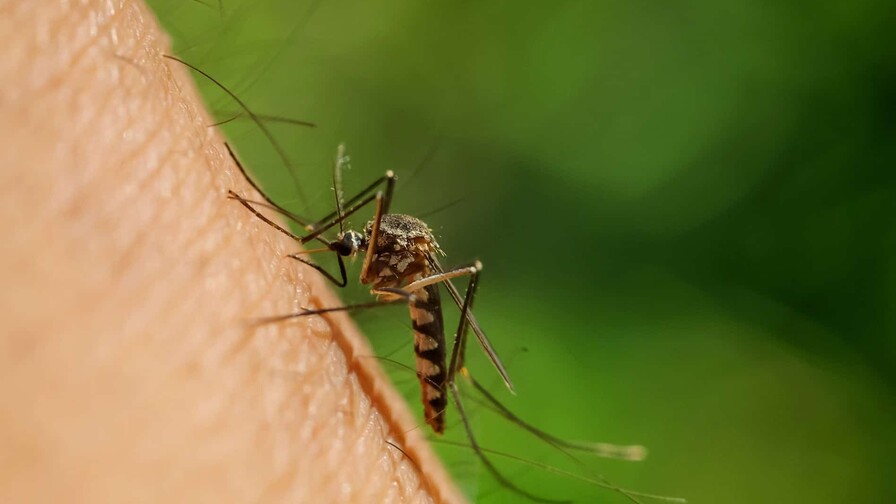 La malaria de aeropuerto deja dos muertos en Fr&aacute;ncfort
