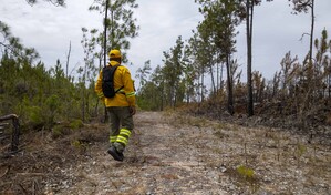 La sequ&iacute;a golpea al Caribe: Puerto Rico declara desastre agr&iacute;cola y RD advierte sobre el d&eacute;ficit
