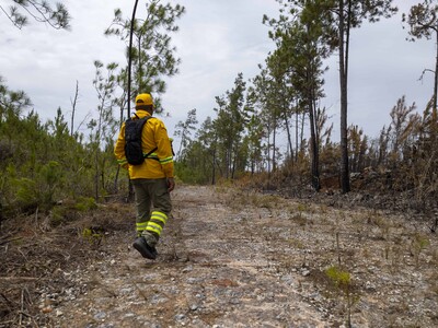 sequía golpea al Caribe: Puerto Rico declara desastre agrícola