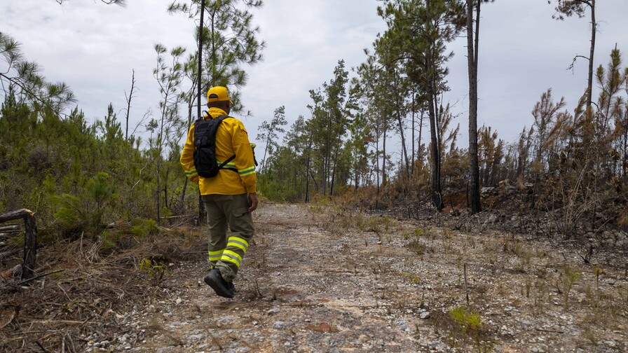 La sequ&iacute;a golpea al Caribe: Puerto Rico declara desastre agr&iacute;cola y RD advierte sobre el d&eacute;ficit