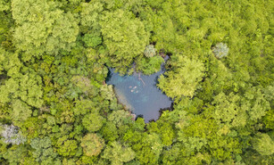 Un santuario natural con 12 ojos de agua sagrados