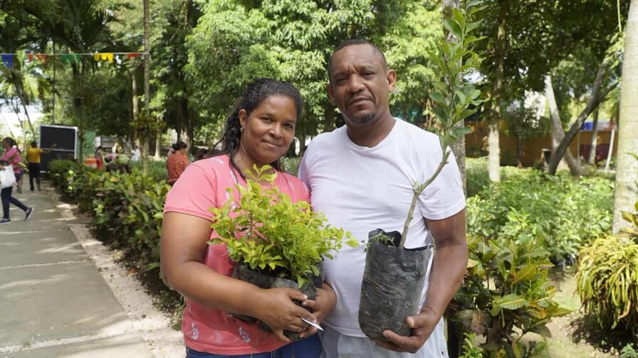 Digecac celebra su primer Festival de Plantas con actividades para toda la familia Digecac celebra su primer Festival de Plantas con actividades para toda la familia