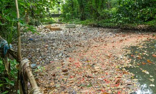 Agua maldita