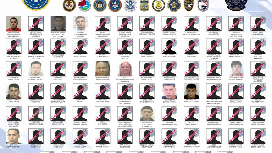 EE. UU. acusa a 80 miembros de "Los Baja Deo", banda acusada de traficar fentanilo y cocaína en Puerto Rico EE. UU. acusa a 80 miembros de "Los Baja Deo", banda acusada de traficar fentanilo y cocaína en Puerto Rico