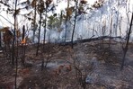 Reactivación de incendio en Valle Nuevo moviliza a 70 brigadistas Reactivación de incendio en Valle Nuevo moviliza a 70 brigadistas