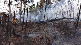Valle Nuevo arde y la justicia a&uacute;n no alcanza a los culpables