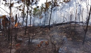 Reactivaci&oacute;n de incendio en Valle Nuevo moviliza a 70 brigadistas