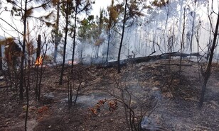 Reactivaci&oacute;n de incendio en Valle Nuevo moviliza a 70 brigadistas