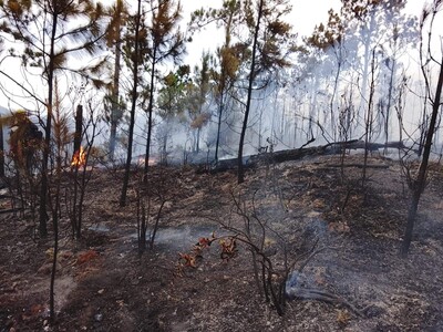 Unos 70 brigadistas combaten incendio reactivado en Valle Nuevo