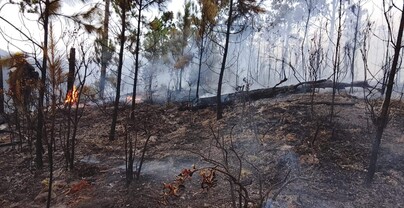Valle Nuevo arde y la justicia a&uacute;n no alcanza a los culpables