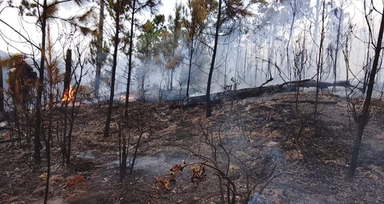 Valle Nuevo arde y la justicia a&uacute;n no alcanza a los culpables