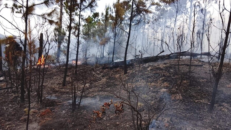 Reactivación de incendio en Valle Nuevo moviliza a 70 brigadistas Reactivación de incendio en Valle Nuevo moviliza a 70 brigadistas