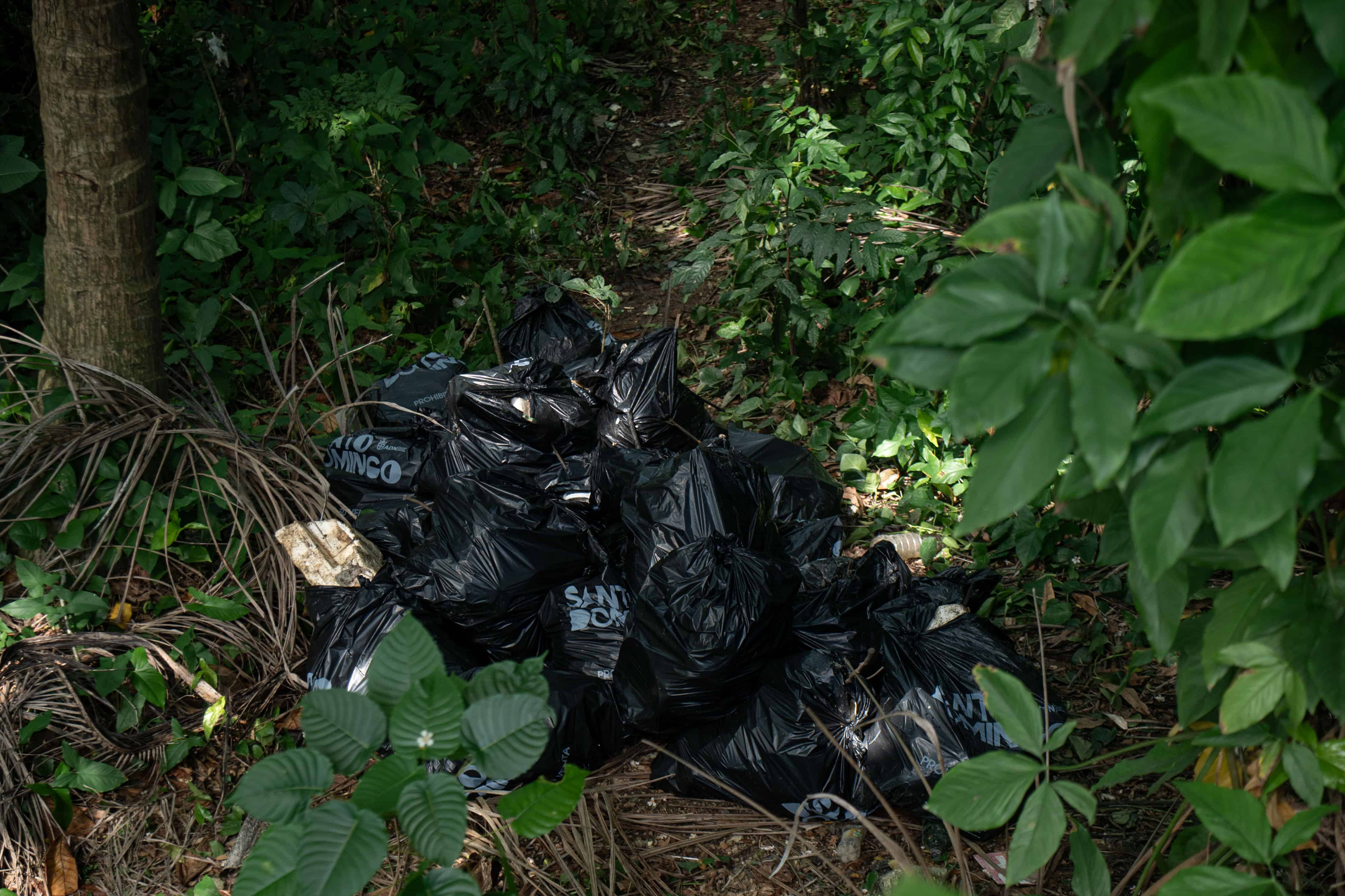 Fundas de basura sacada de la ca&ntilde;ada