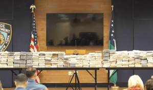 Nueva York incauta cargamento de coca&iacute;na de 10 millones de d&oacute;lares, r&eacute;cord en una d&eacute;cada
