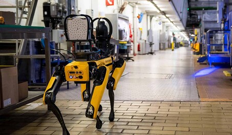 EE. UU. planea invertir dos millones de d&oacute;lares en perros robots para operativos de ICE