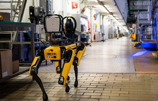 EE. UU. planea invertir dos millones de d&oacute;lares en perros robots para operativos de ICE