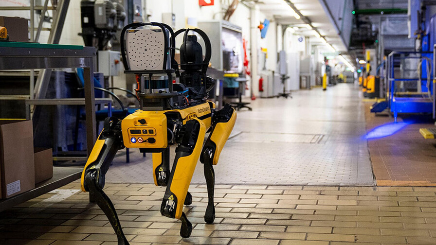 EE. UU. planea invertir dos millones de dólares en perros robots para operativos de ICE