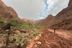 Evacúan a decenas de turistas del Gran Cañón tras fuertes inundaciones repentinas Evacúan a decenas de turistas del Gran Cañón tras fuertes inundaciones repentinas
