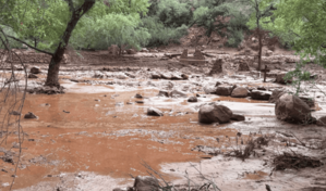 Inundaciones repentinas en el Gran Ca&ntilde;&oacute;n dejan unos 15 desaparecidos y 62 evacuados