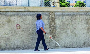Educaci&oacute;n para estudiantes con discapacidad puede costar hasta 35 veces m&aacute;s que la regular