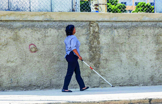 Educaci&oacute;n para estudiantes con discapacidad puede costar hasta 35 veces m&aacute;s que la regular