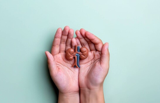 Donar un ri&ntilde;&oacute;n en vida: una decisi&oacute;n que puede cambiar una historia