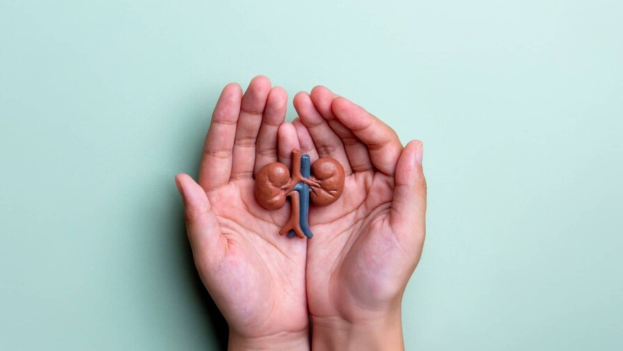 Donar un riñón en vida: una decisión que puede cambiar una historia Donar un riñón en vida: una decisión que puede cambiar una historia