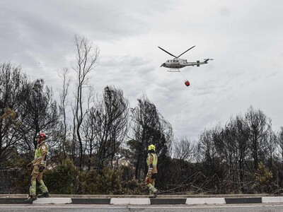 Temporada de incendios forestales pone a prueba a la UE