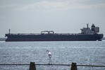 Trump se reunirá con petroleras en plena guerra con Irán y tras anunciar acuerdo con Venezuela Trump se reunirá con petroleras en plena guerra con Irán y tras anunciar acuerdo con Venezuela