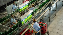 La cerveza y los juegos de azar aumentan su aporte al fisco tras el plan anticrisis