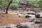 Un muerto y 15 desaparecidos tras inundaci&oacute;n repentina en el Gran Ca&ntilde;&oacute;n