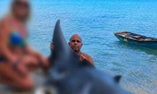 Detienen a pescador por muerte de una mantarraya en Las Terrenas