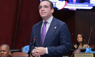El PLD somete proyectos para interpelar a los gerentes de las EDE por facturaci&oacute;n y apagones